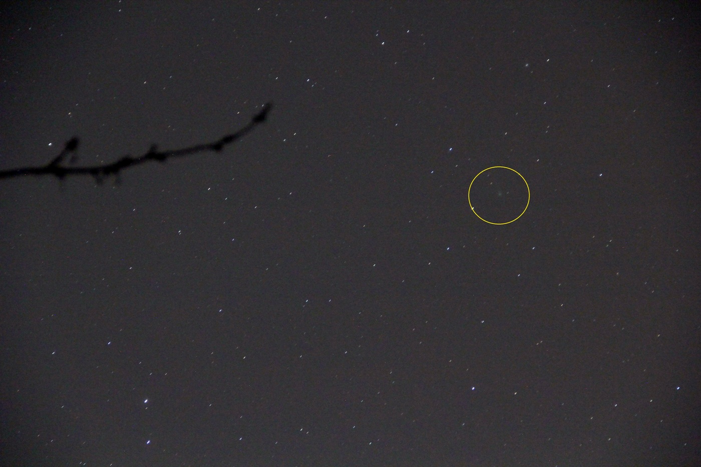 Kométa C/2021 A1 (Leonard) z 4. 12. 2021 o 6:06 SEČ. Canon 550D, F:F/5,6; exp:13 . Autor: RNDr M. Znášik, Krajská hvezdáreň v Žiline